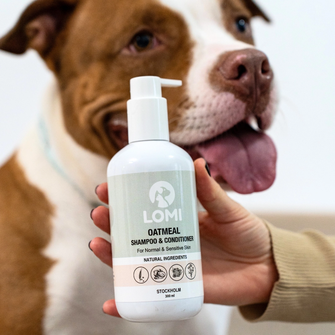 Dog Care Set