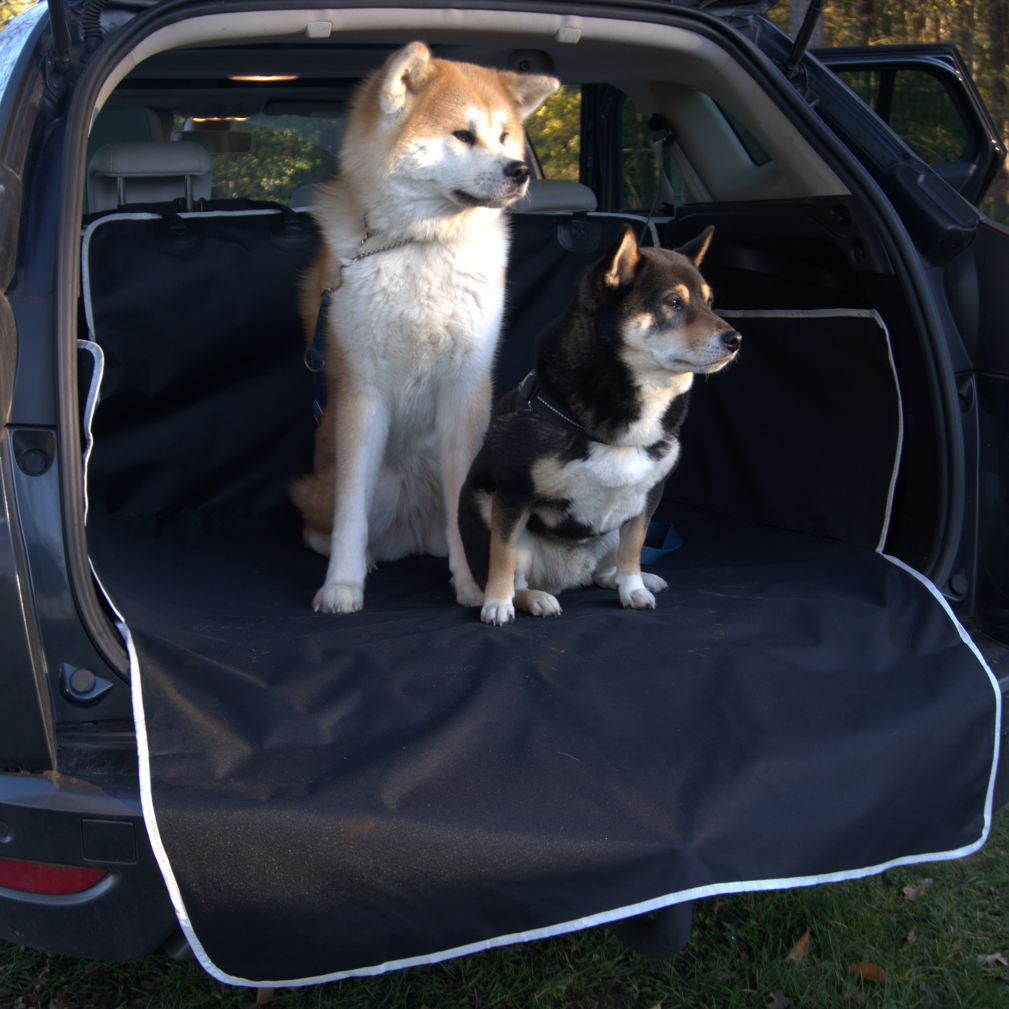 Road-Ready Protection Set