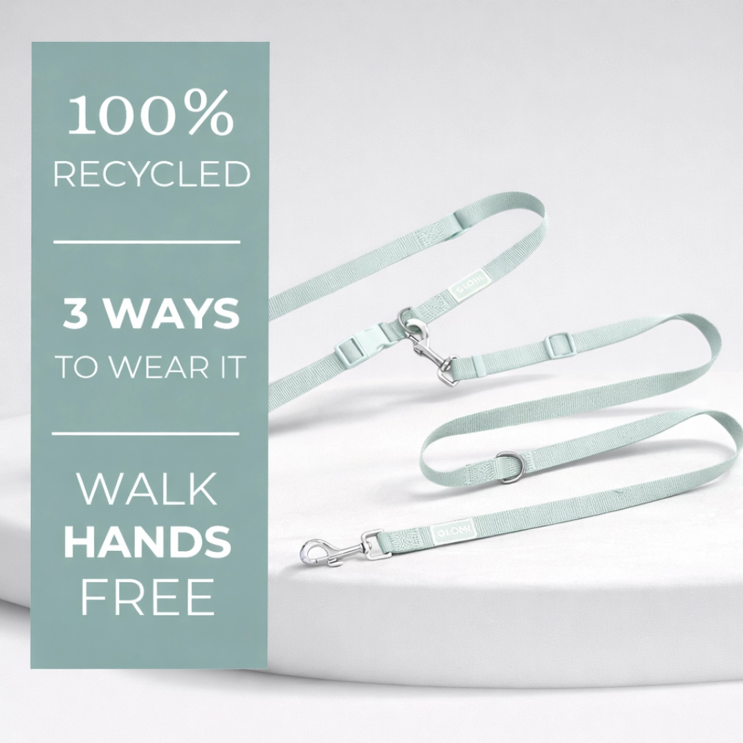 Multifunctional Dog Leash - Eco